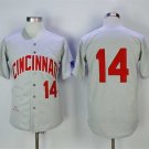 Men/Youth's Cincinnati Reds #14 Pete Rose Gray Throwback Jersey