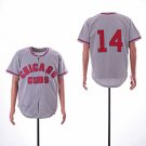 Men/Youth's Cubs 14 Ernie Banks Gray Throwback Jersey