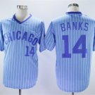 Men/Youth's Cubs 14 Ernie Banks Light Blue  Jersey