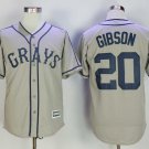 Men/Youth's Homestead Grays #20 Josh Gibson Gray Cool Base Jersey