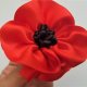 Anzac inspired