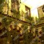 Hanging Gardens 4 x 6"