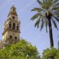 Church in Sevilla 4 x 6"