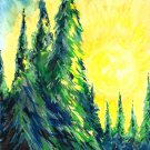 Northern Pine Forest - sku:c1