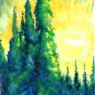 Northern Pine Forest - sku:c2