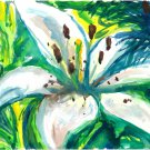 White Lily - sku:j1