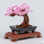 X19004 Moc Bonsai Tree (10281) 878 pcs Building Block Set *FREE* Shipping