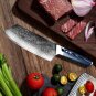 2pcs Chef Knife Damascus Steel vg10 Japanese Kitchen Knife