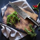 Chef Knife Japanese Kitchen Knife Damascus VG10 67 Layer Stainless Steel