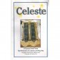 Celeste A Beaded Knit Purse Pattern NEW