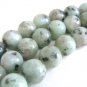 Seasame Jasper Beads 10mm Round Kiwi Jasper Gemstone