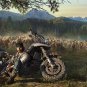 Days Gone, Sony, PlayStation 4