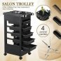 Salon SPA Beauty Hairdressing Rolling Trolley Cart With 5 Drawers Hair Dryer
