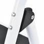 Folding Heavy Duty Industrial Lightweight 4 Step Ladder
