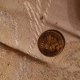 Coins