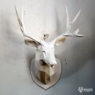 Printable faux taxidermy papercraft deer trophy for your wall decor