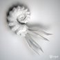 Papercraft ammonite PDF template for your wall decor