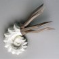 Papercraft ammonite PDF template for your wall decor