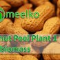 Peanut Peel Plant 1 ton biomass BUY NOW!