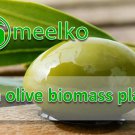 1ton olive biomass plant