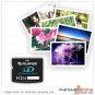 Genuine Fujifilm 2GB XD Picture Memory Card (Type H Hi-Speed series)
