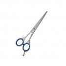 Economy Barber scissors