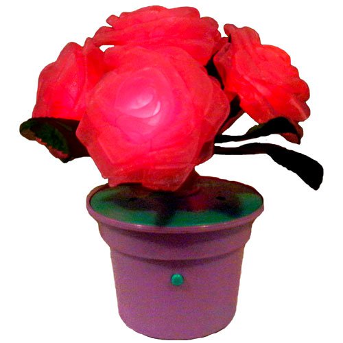 Wild Roses Lighted Red Flashing Pink Flowers