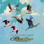 Exotic Bird Clipart