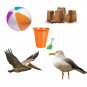 Beach Clipart