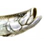 Game Fish Clipart
