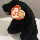 TY plush stuffed animal toy doll BEANIE BABIES CINDERS the Black Bear TY plush stuffed animal toy doll BEANIE BABIES CINDERS the Black Bear