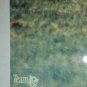 GALE SAYERS NFL AUTOGRAPHED SIGNED 8X10 PHOTO CHICAGO BEARS BEAUTY