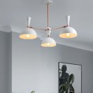 Dinning Room Lanterns Creative Pendant Lamp Designer Direction Of Rotation