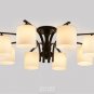 Iron Pendant Chandelier Living Room Lanterns Bedroom Light Ceiling Light
