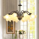 Home Lamp Iron Pendant Chandelier Living Room Lanterns Bedroom Lighting