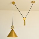 Pendant Lamp Lifter Lighting Living Room Light Gold Home Light