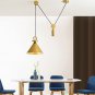 Pendant Lamp Lifter Lighting Living Room Light Gold Home Light