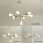 Simple Style Chandelier Bulb Lamp Bedroom Lighting Living Room Light