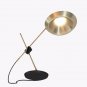Modern Minimalist Iron Adjustable Table Lamp Study Work Reading Desk Lamp