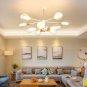 Creative Home Ceiling Light Clear Lampshade