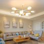 Creative Home Ceiling Light Clear Lampshade