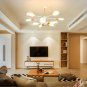 Creative Home Ceiling Light Clear Lampshade