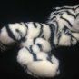 White Siberian Tiger Plush Cat A & A Floppy Bean Bag Stuffed Animal Baby Cub 12"