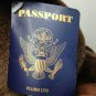 Passport Plush Teddy Bear Chocolate Brown Soft Stuffed Jointed Animal TAG 15"