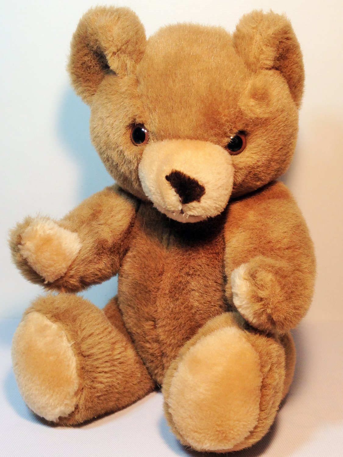 teddy tastic wholesale