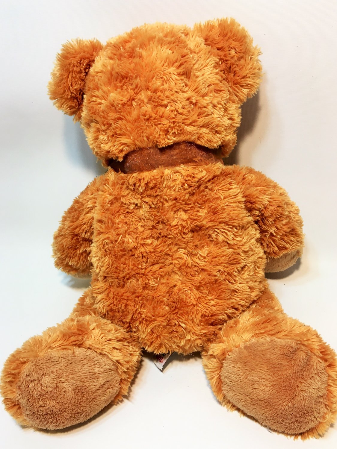 bean bag teddy