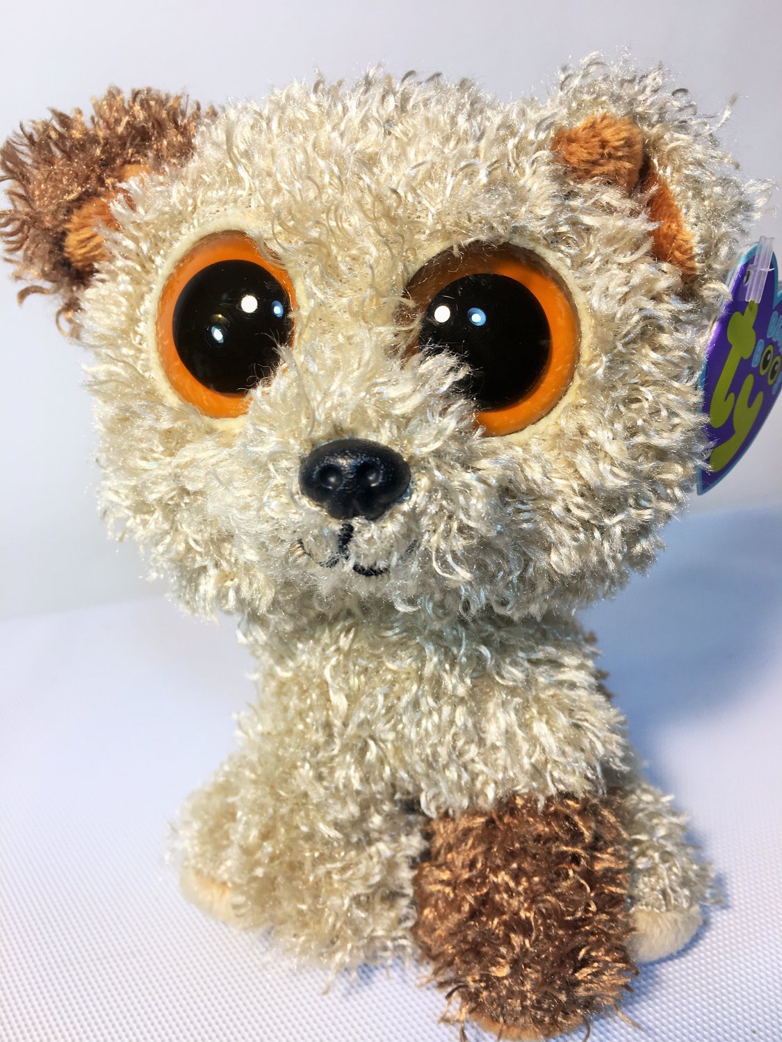 Ty Beanie Boos ROOTBEER Puppy Dog Plush Brown Stuffed Animal Boo Solid Eyes 6"
