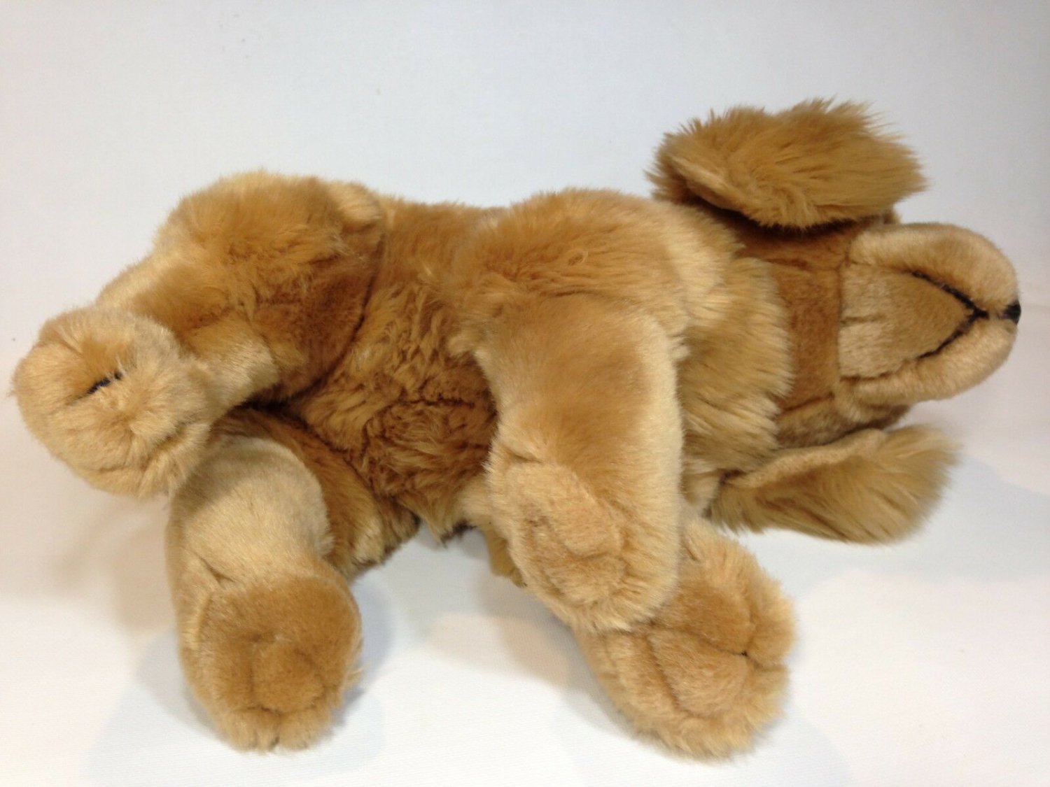 golden retriever plush animal