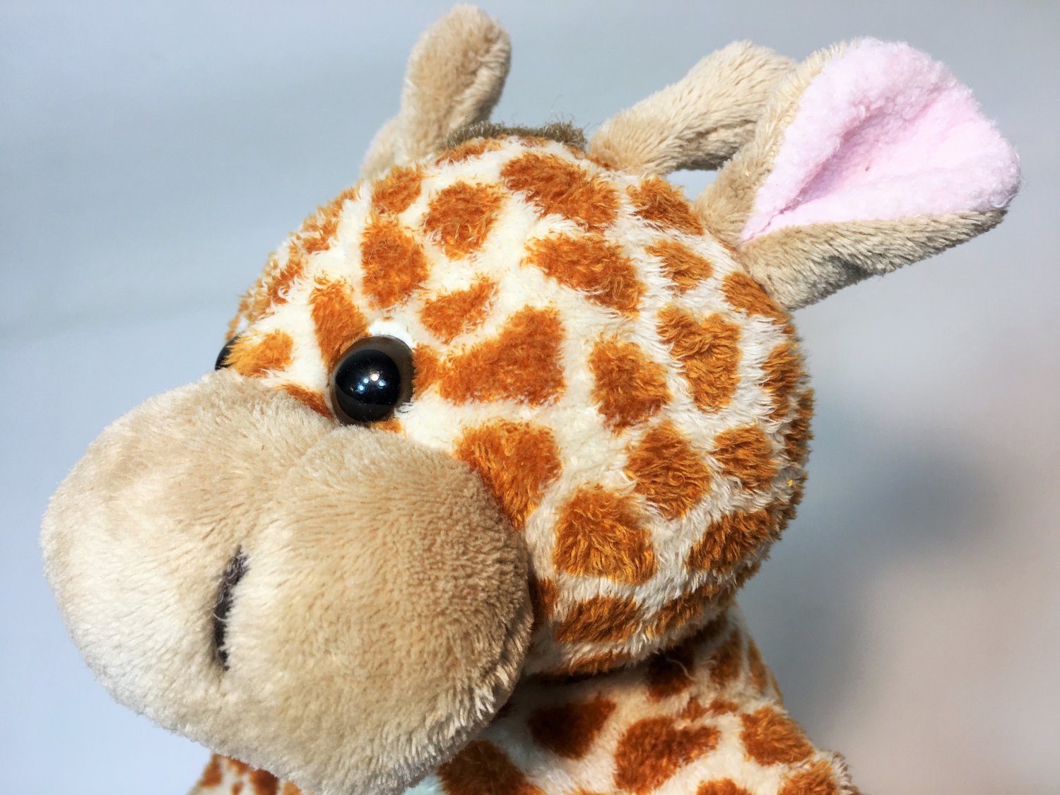 Animal alley giraffe Clearance