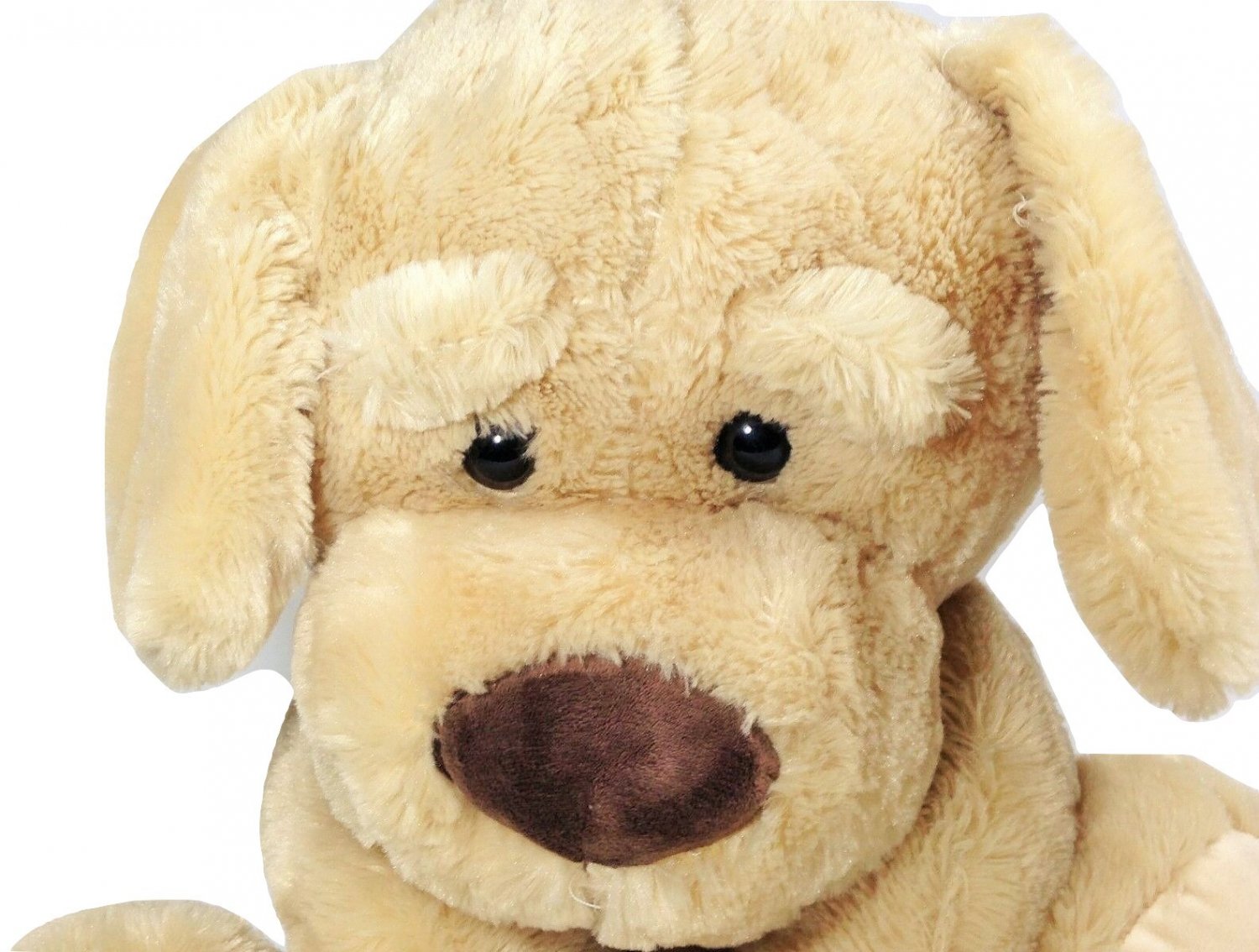 kellytoy dog toy dog